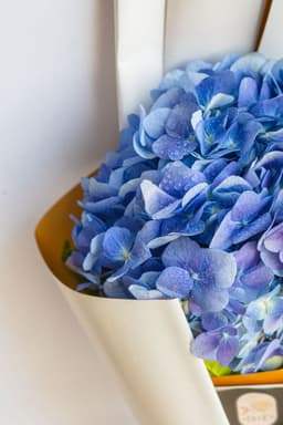 Hydrangea boquet thumbnail 4