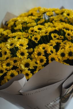 Yellow Daisy boquet thumbnail 2
