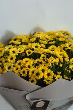 Yellow Daisy boquet thumbnail 3