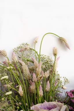 Crane pink boquet thumbnail 2